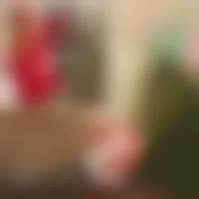 Papá Noel con paracaídas | SANTASWING