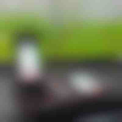 Alfombrilla de coche antideslizante 4 en 1 | MATDOCK