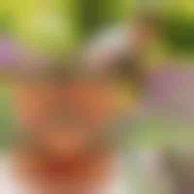 Macetas regulables en altura (3x piezas) | PLANTUP