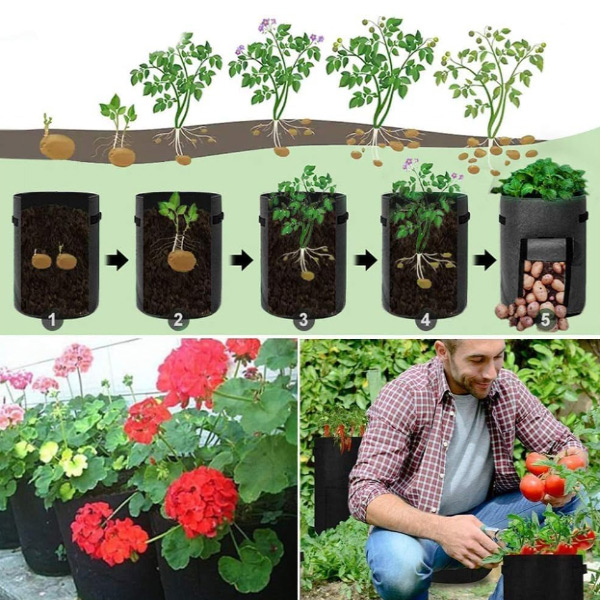 FLORAFOLD